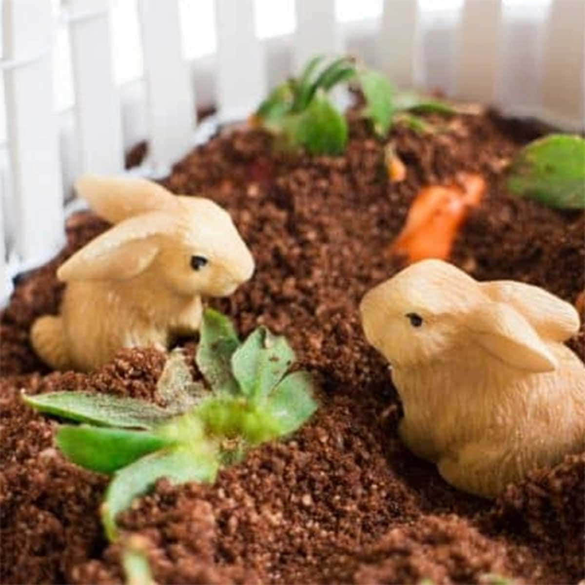 Minute Edible Garden: Chocolate Carrot Strawberry Dessert for Kids